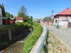 Malurile râului Săsar