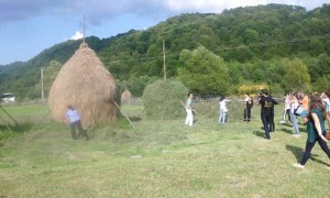 Adunatul fînului în Groşii Ţibleşului